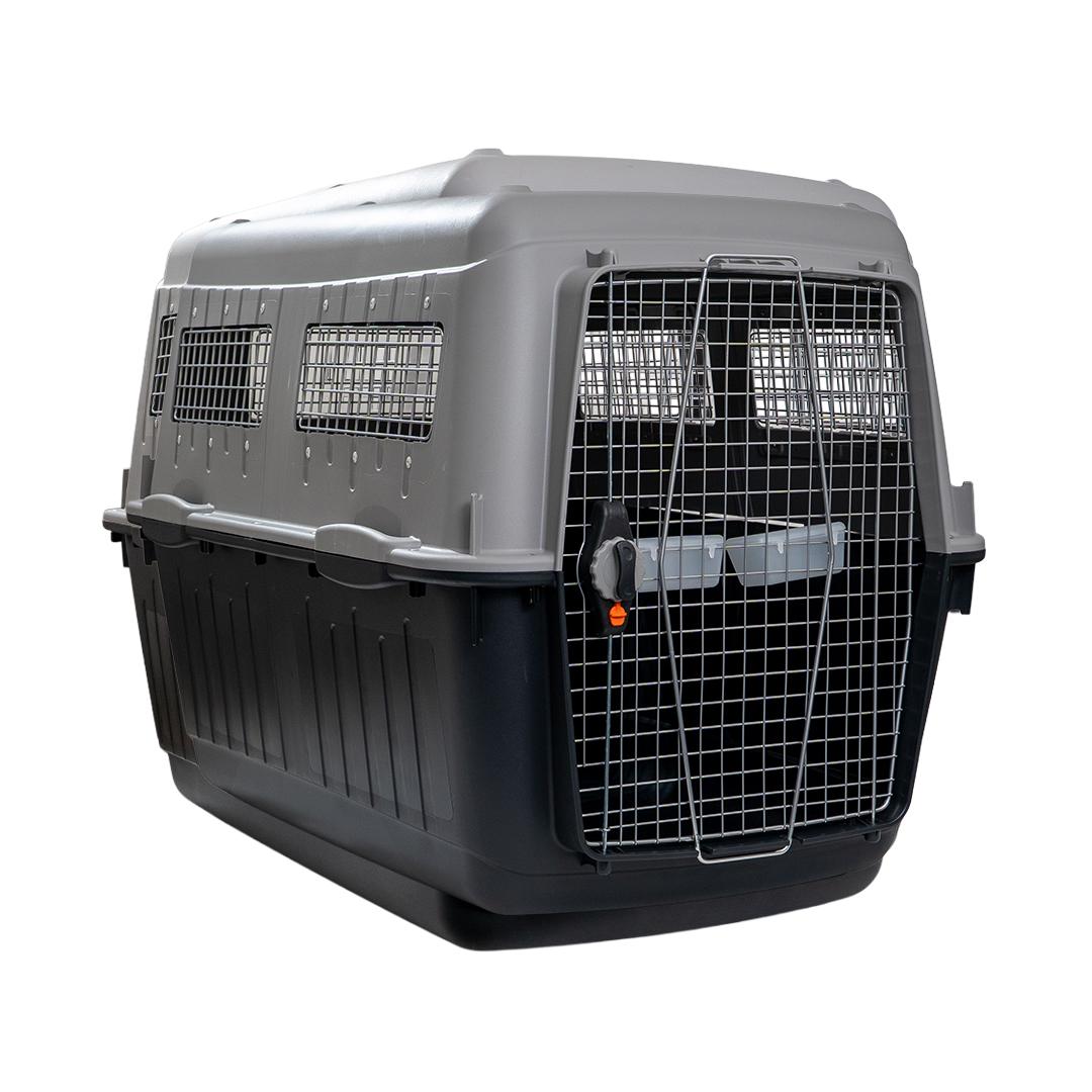 Kennel BRACCO 7