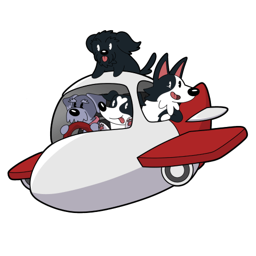 Traslado Internacional de Mascotas
