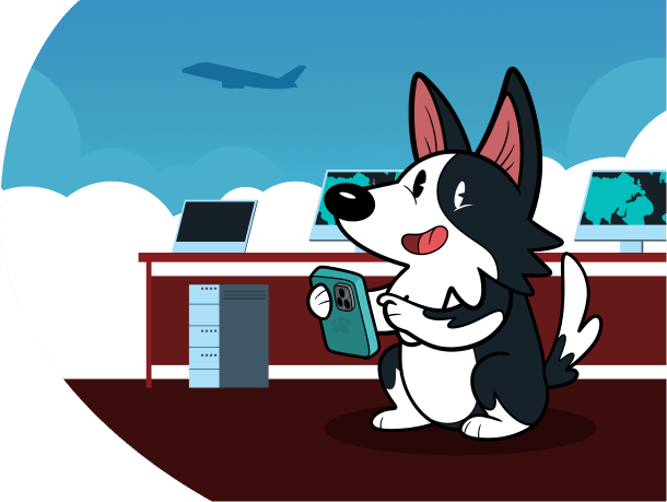 Traslado de mascotas de Chile a Reino Unido